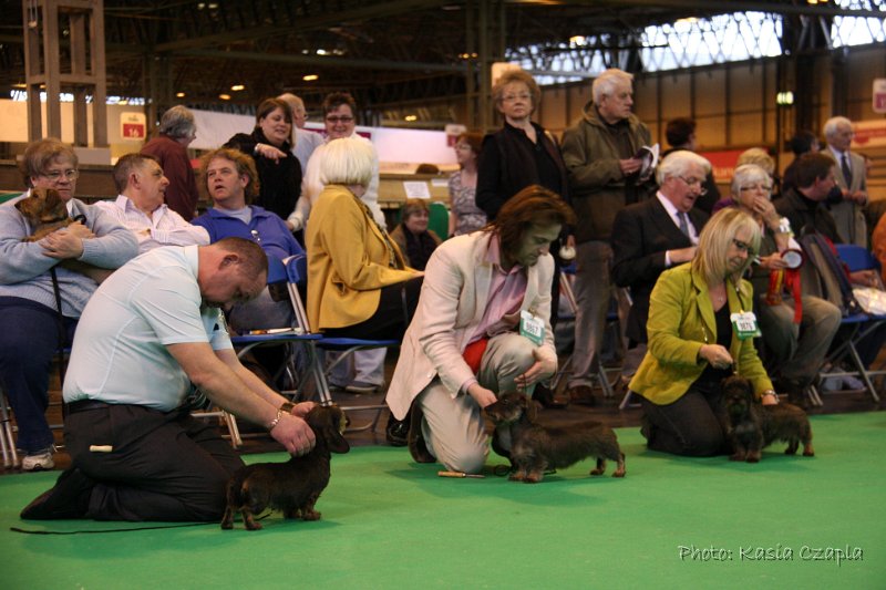 Crufts2010 780.jpg